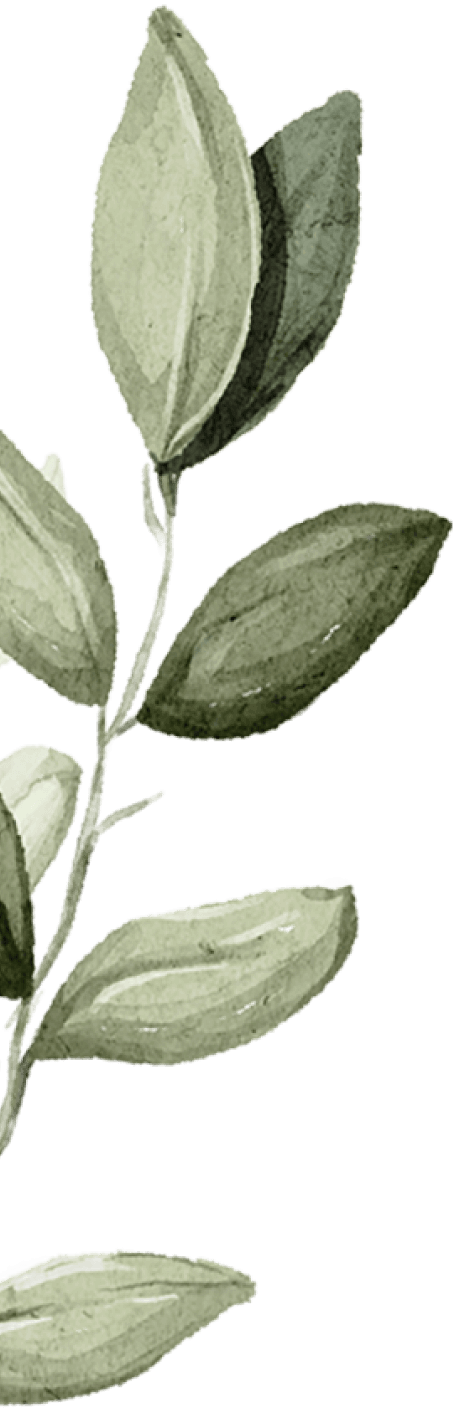 branch-1
